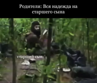 Мы расскажем тебе их историю правдиво. Это были юноши, которые уверовали в своего Господа, и Мы увеличили их приверженность прямому пути. [18:13] #islam #kavkaz #forest #brother #fyp 