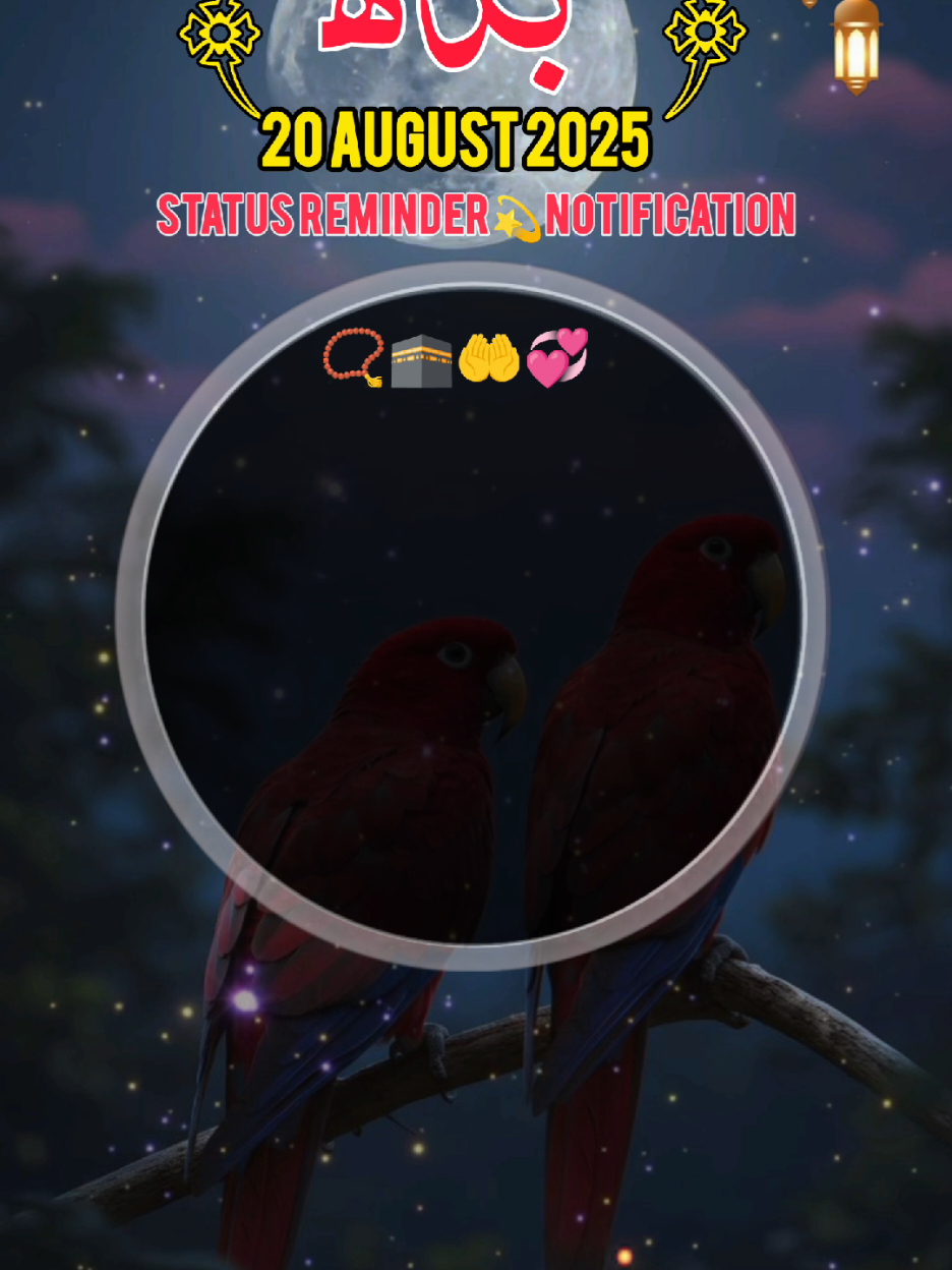 بدھ کی خوبصورت صبح مبارک ہو status notification 20/August/ 2025 status notification Islamic video status notification#foryou #foryoupage #1billionauidition #fypシ゚viral #deartiktokteamdontunderviewm 