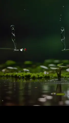 jannat #trending #fyppppppppppppppppppppppp #lovers #newtrending #fypシ゚viral 