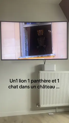 #les50 #telerealite #pourtoi 