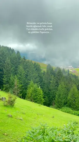 #volkankonak #fyppppppppppppppppppppppp #karadeniz #keşfetteyizzz #karadenizşarkıları 