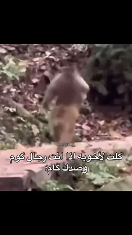 #🤎✨ ## 😂💔