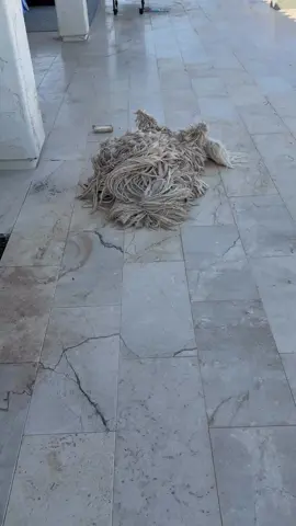 Woow.. İnanılır gibi değil, ama o bir köpek 🐕 🐕 💗 💗 