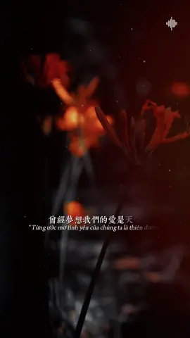 “Từng ước mơ tình yêu của chúng ta là thiên đường.. #tramnhachay_0203  #teddyentertainment  #teamteddy #Bkmuzic 