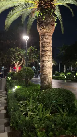 That streetlamp flicker turned the park unreal #StreetlampGlow #FYP