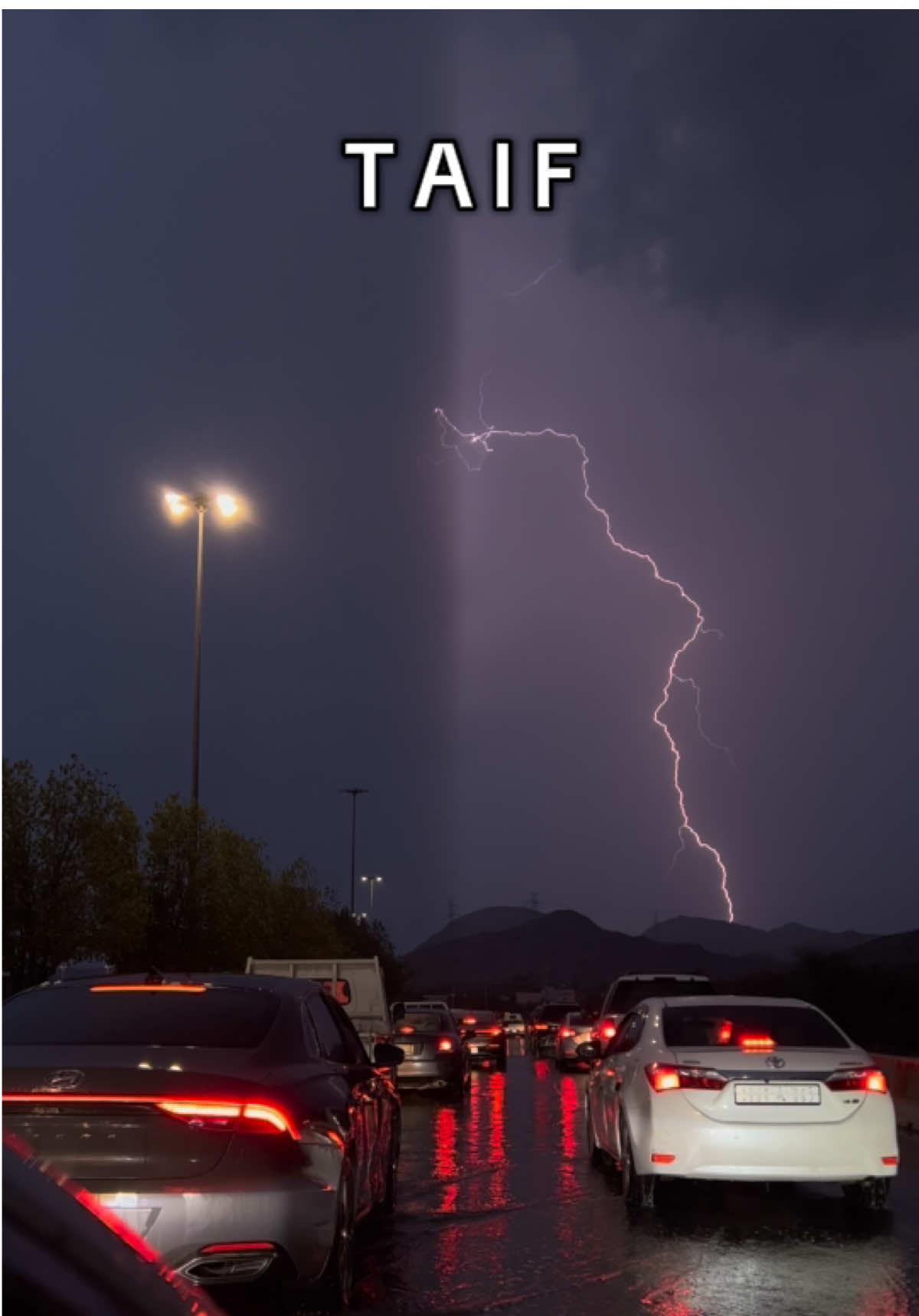 يازين الطايف و جوّها ⛈️❤️ #الطايف #مطر #ترند #امطار #اكسبلور #fyp #fyppppppppppppppppppppppp 