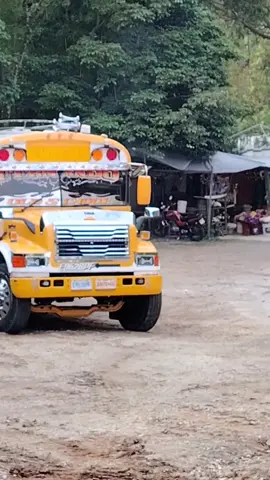 Fernandita 🚍🇬🇹 #viral #parati #pyf #fyp #busesguatemala 