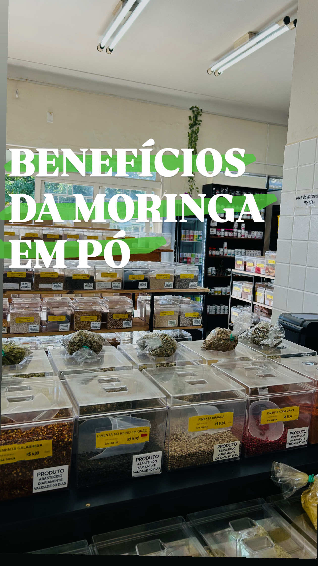 Benefícios da moringa em pó💚#creatorsearchinsights #moringa #saude #Fitness 