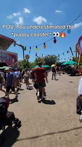 Slinky Dog isn’t just for kids 👀🎢   ✨ Watch more Disney magic on our YouTube, grab our FREE Disney Trip Planner eBook, and subscribe to our Parklings Newsletter for weekly tips!   #DisneyParklings #SlinkyDogDash #DisneyWorld #ToyStoryLand #DisneyTips 