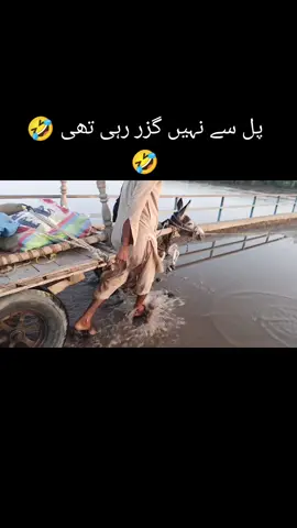 ##