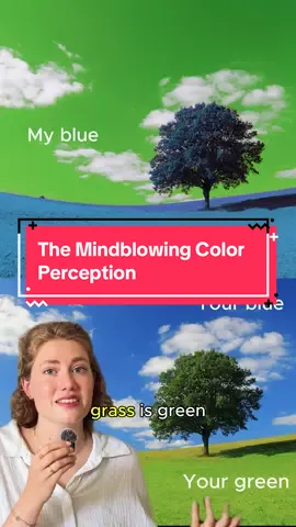 #ColorPerception #InvertedSpectrum #Qualia #Philosophy #Colors