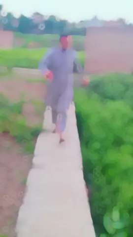 #CapCut 