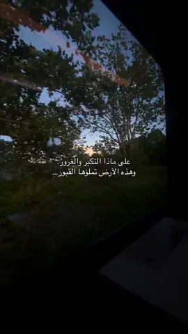 #creatorsearchinsights #تلاوة_خاشعة #🇩🇿 #صلي_علي_النبي_محمد_صلي_الله_عليه_وسلم #LIVEStory 