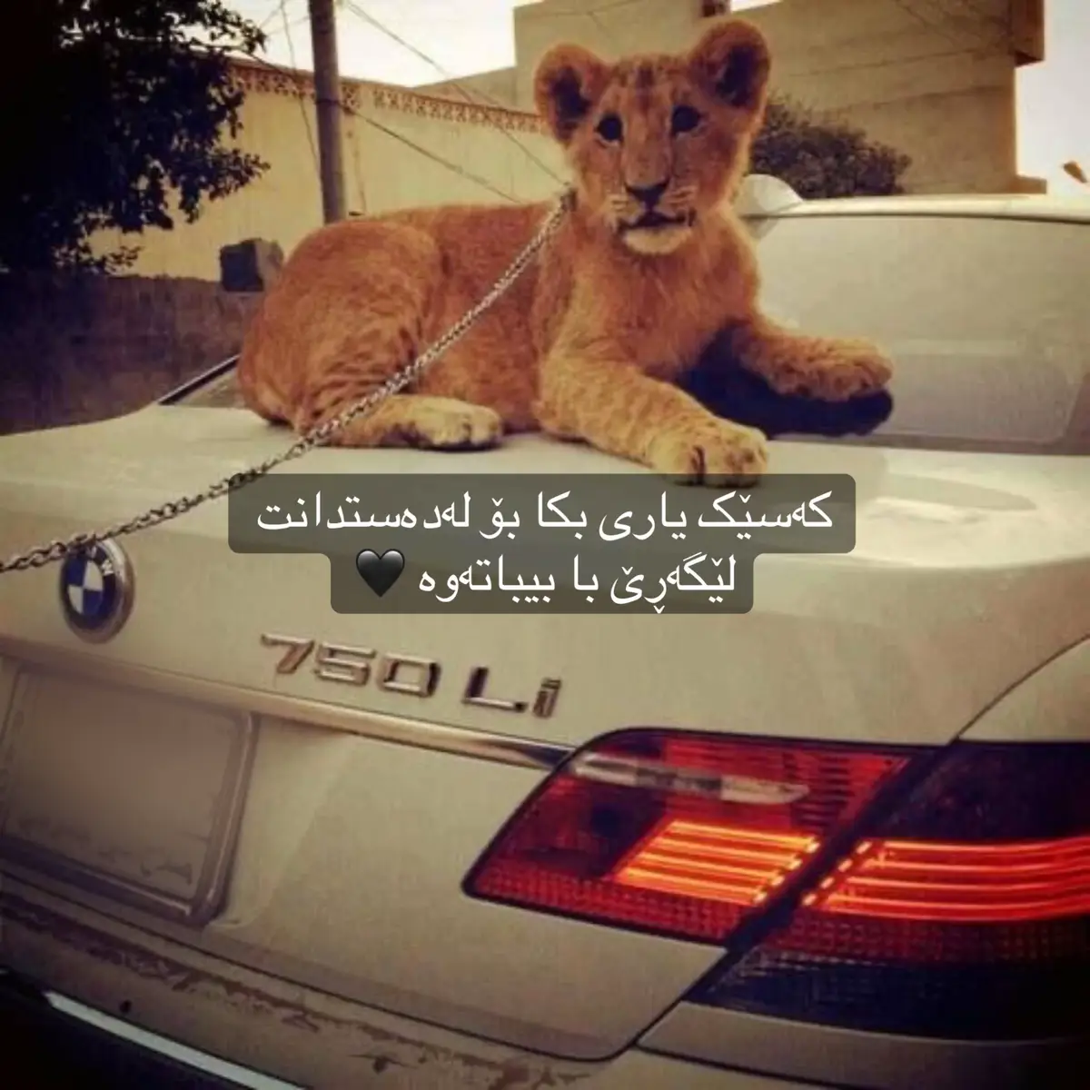 #imravo✅ #erbil_life #fordmustang #foryoupage #fyp 