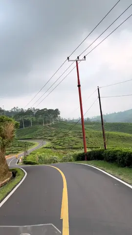 selama perjalanan, viewnya bener bener bikin🥺 #ciwidey #ciwideybandung #naringgul 
