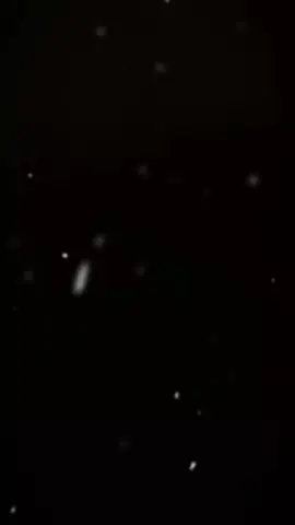Stt 