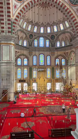 Tu es exactement là où Allah ﷻ veut que tu sois🤍 Chaque étape fait partie de Son plan. Tu marches sur un chemin écrit par Ar-Rahmân (Le Très-Miséricordieux) Sabr, car l’attente aussi fait partie de la beauté du destin✨ #rappels_islam #citationislam #islam #guerison #paix #rappelislam #fypislam #muslimgirl #islamicquotes #citationtriste 