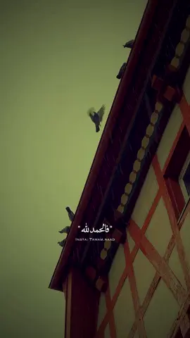 الحمدلله على ما مضى والحمدلله على ما هو آتٍ ♥️ #لايك #اكسبلور #مواعظ #بلال_الجهماني #instagood 