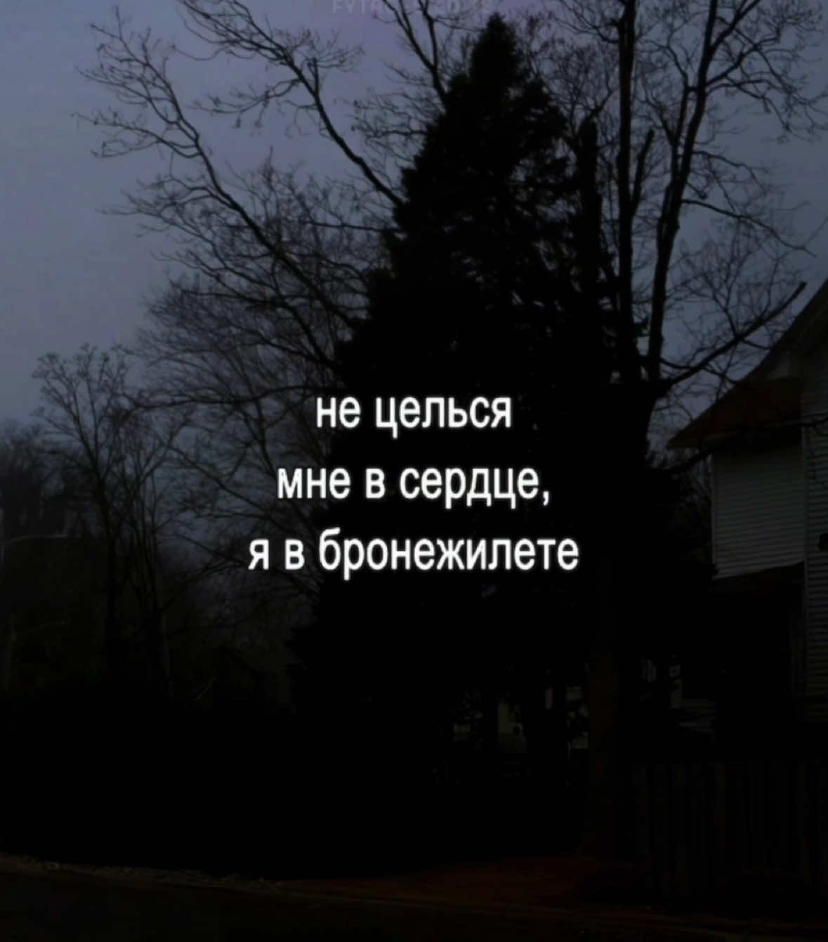 я делаю вид.. #lyrics #fytagedit #футажстекстом #камень #напрасныуловкикапканыисети #нецельсямневсердцеявбронижелете #помнеудаяютжелезнымпрутом #холодныйитвердыйгранит #fleur 