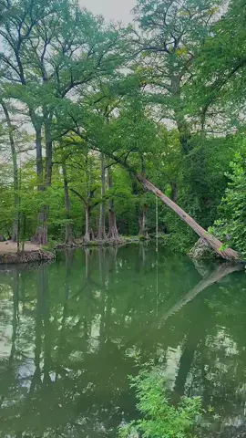📍KRAUSE SPRINGS TX Te imaginas un viajecito en pareja a este lugar? Super recomendado! @Javier Portillo 🔥🏕️  #krausesprings #texas #NatureVibes #NaturalBeauty #HiddenGem #SpringVibes #BellezaNatural #WaterAdventures #SwimSpots #TravelTexas #WeekendGetaway #RoadTripVibes #NatureLovers #ViralVideo #ReelsVirales #TravelReels #tiktoktravel #InstaTravel #FYP #CampingVibes #Acampando #CampLife #TentCamping #VidaAlAireLibre #UnderTheStars #CampfireNights