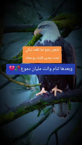 #fyp #اقتباسات #اقتباسات_عبارات_خواطر🖤🦋❤️ #زيادة_المشاهدة #اكسبلورexplore 