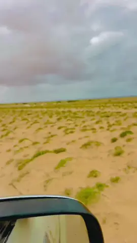deep jog #somalitiktok #foryou @Abdalla Iise @hoodaale10 @Af xarago 145💚💚❤️💚💚 @Dilix____143♧ 