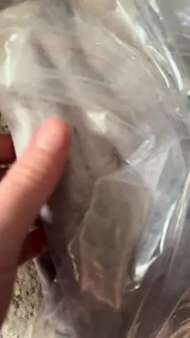 Cooling blanket 