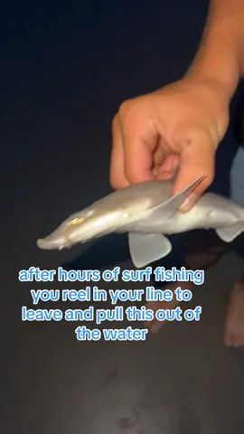 where are the striper at😞 #saltwaterfishing #surffishing #fishing #fyp #viral 