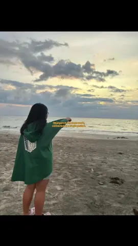 love yall #aot #ocean #redswan #freedom #eren 