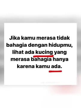 #CapCut  #kucinglucu  #kucingrescue  #catlover  #catsoftiktok 