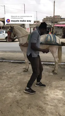 Réponse à @Cheikhouna Sarr 