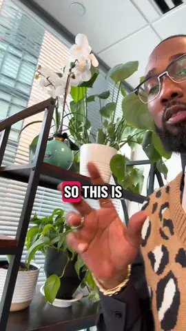 Yall ever get a random realization like this? #fyp #plantdad #grief #viral 