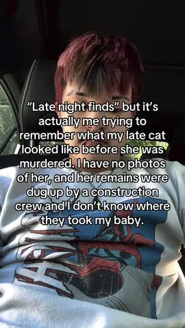 My sweet Katniss, I will never forgive myself although I know I was too young and too far away to really do anything. You were such a good cat, and I took you for granted thinking id have all the time with you. You were my first baby, and no other animal can take your place in my heart. 🐈‍⬛💔 #latenightfinds #fyp #trend #cat #animalloss 