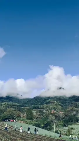 🍃🌎