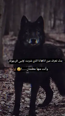 بدك تعرف مين انا#انا الذي شربت كاس الرجوله وأنت منها عطشان......!😉🤘🏿