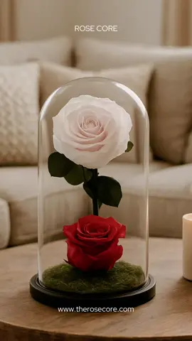 3 ways a Rose Core dome levels up your self-care space: 1. Zero Maintenance: The beauty is preserved forever. No watering, just admiring. 2. Aesthetic Calm: Creates an instant focal point of serenity, luxury, and natural beauty. 3. A Tangible Reminder: It symbolizes lasting love and peace for others and for yourself. This isn’t just home decor; it’s wellness decor. Treat your space to something that helps you breathe deeper. Find your forever bouquet and build your sanctuary at www.therosecore.com 🌹 #WellnessDecor #SelfCareRoutine #RoseCorePreserve #PreservedRoses #homedecor 