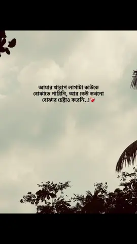 কেউ বোঝার চেষ্টাও করেনি।❤️‍🩹