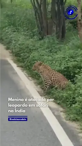Na última sexta-feira (15), um menino sofreu ferimentos no braço após ser atacado por um leopardo durante um safári na Índia. De acordo com a jornalista local Vani Mehrotra, a criança foi atendida minutos após o ataque pela equipe médica do parque e, em seguida, encaminhado a um hospital, onde recebeu alta e foi liberado. Saiba mais ▶️ redetv.uol.com.br/jornalismo . . . 🎥: Reprodução/ Redes Sociais #notícias #videoviral #ataqueleopardo #safari #leopardo 
