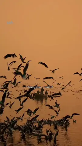 #اكسبلور #الوائلي 