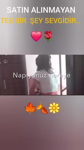 #keşfettim #şair #keş #aşık #sevgi 