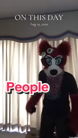 Lots of people out there! #furry #petethefox #furry4life #cutefurry #fursuit 