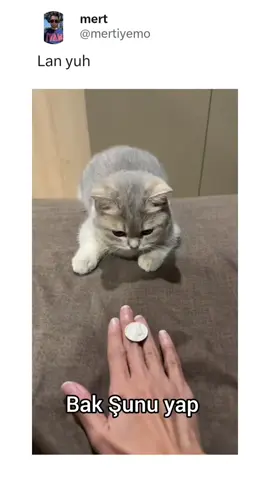 böyle videolar için takıp etmeyi unutmayın :)