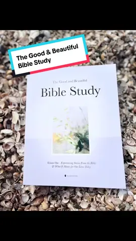 From Tiktok shop!! 📖🙏 #tiktokshopcreator #biblestudy #BookTok #gifted #womensbiblestudy 