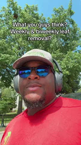 What you guys think? It doesn’t sound like a bad idea #mrigotyou #lawncare #fyp 