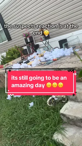 STAY FOR THE BEFORE THE DISASTER PICTURES AT THE VERY END #fyp #100k #2025 #dog #MomsofTikTok 