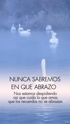 Frases #frase #reflexion #LIVEIncentiveProgram #LIVEStory #PaidPartnership 