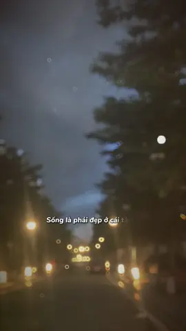 #CapCut 