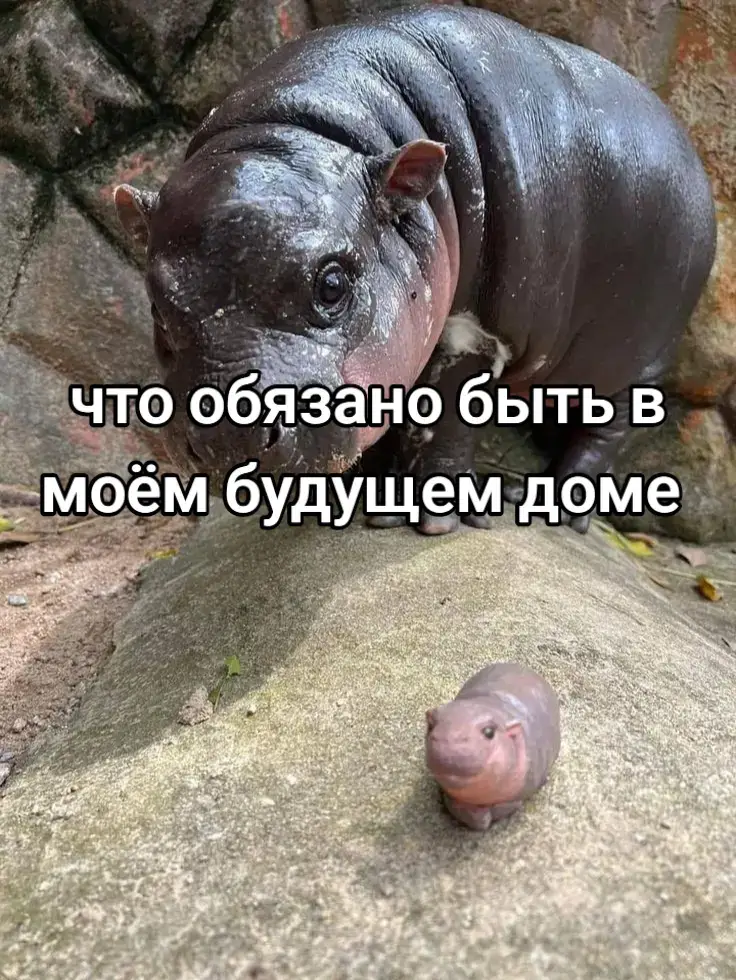 думаю, очень уютный дом получится #срevacurcuma_ #дом #будущийдом #бананы 