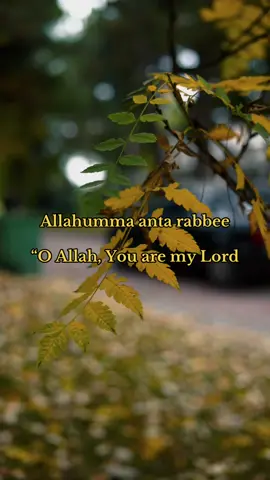 ✨ “The most powerful Istighfar taught by Prophet ﷺ – Say it in the morning & evening and Jannah is promised 🌿🤍” You can also rotate between these variations for more reach: 	1.	🌙 Morning & Night Protection 💫 | Sayyidul Istighfar 	2.	🤲 A dua that opens the doors of Jannah 	3.	💚 Forgiveness is one dua away — Save this! 	4.	📖 The dua Prophet ﷺ called Sayyidul Istighfar #Dua #IslamicReminder #SayyidulIstighfar #Forgiveness #fyp 