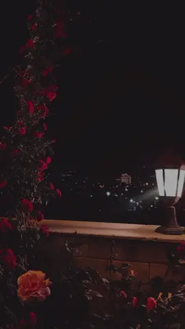 20:40 #viral_video #fyp #dhiiragaliye #viwesproblem😌🙏💔 #foryou @Sheekh Abuukar 